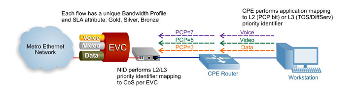 Carrier Ethernet Service Mapping
