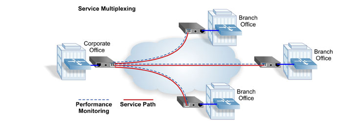 Ethernet Virtual Private Lines EVPL