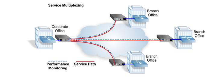 Carrier Ethernet Service