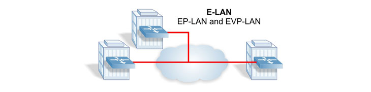 Carrier Ethernet 2.0 E-LAN